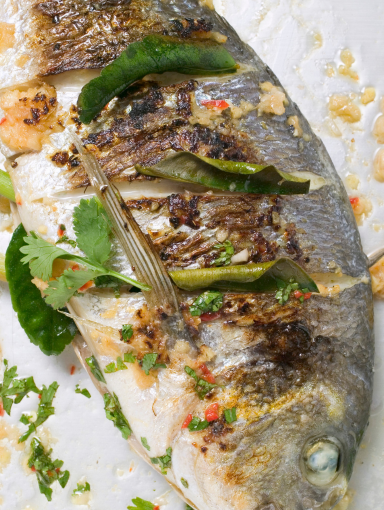 Fish Rocco Berlin Mediterranes Fischgericht bei Rocco Charlottenburg